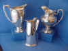 Pitchers.jpg (37714 bytes)